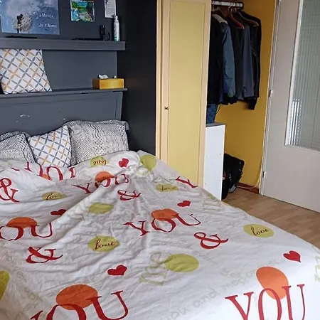 Appartement Grand Studio Avec Balcon - Vichy *